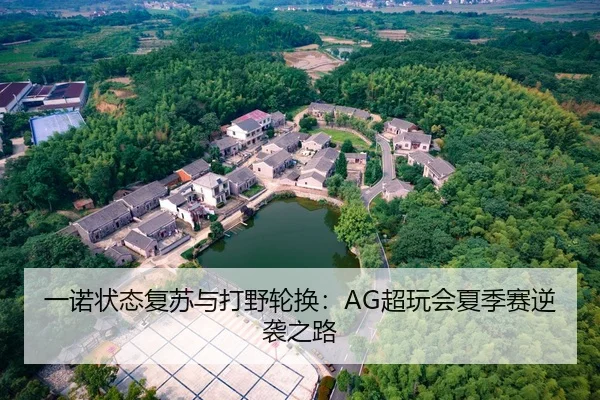 一诺状态复苏与打野轮换：AG超玩会夏季赛逆袭之路
